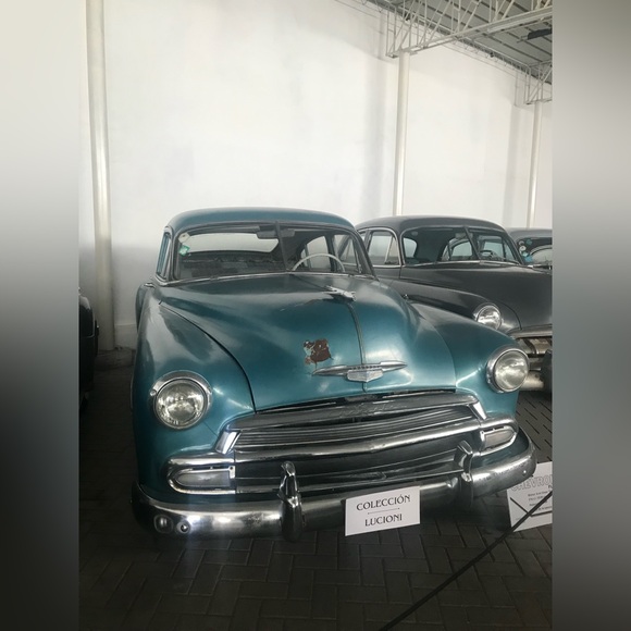 Meet your Posher, Ysabel - Picture 8 of 15